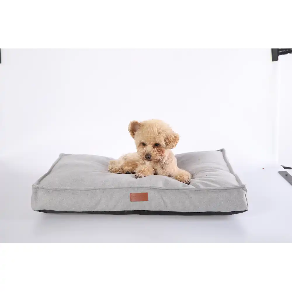 proveedor de camas blandas para perros