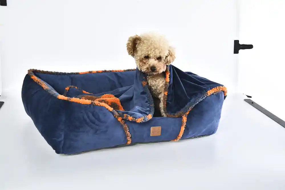 soft pet bed supplier