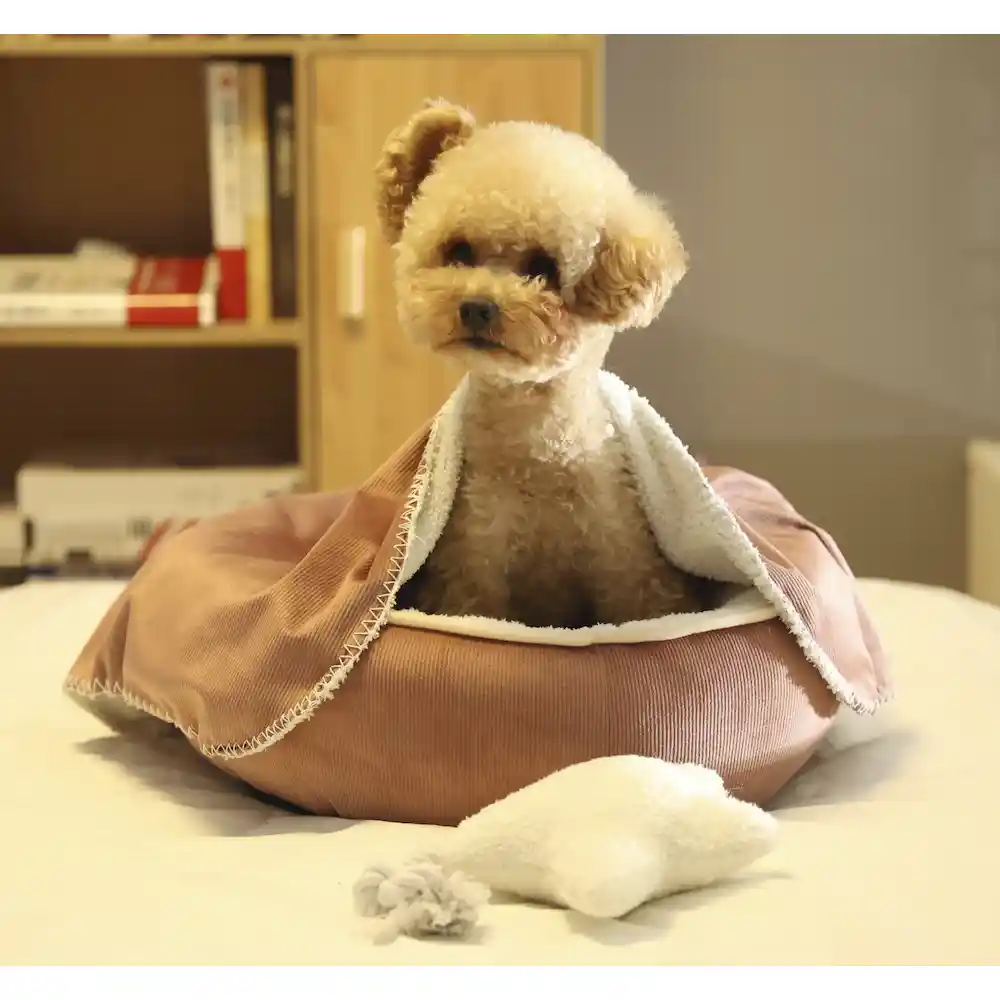 soft touch pet bed factory