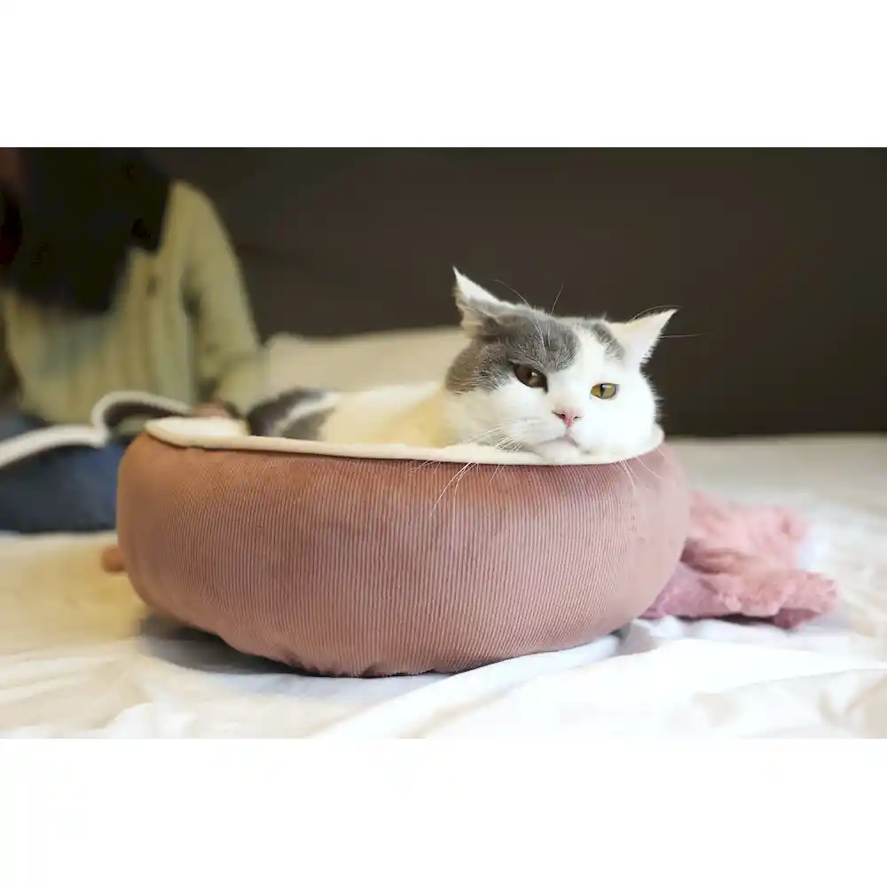 soft touch pet bed in bulk