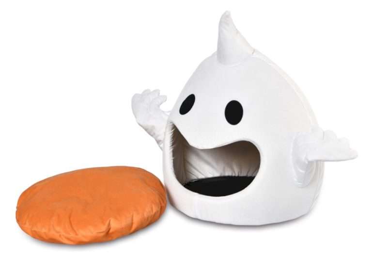 white cat cave