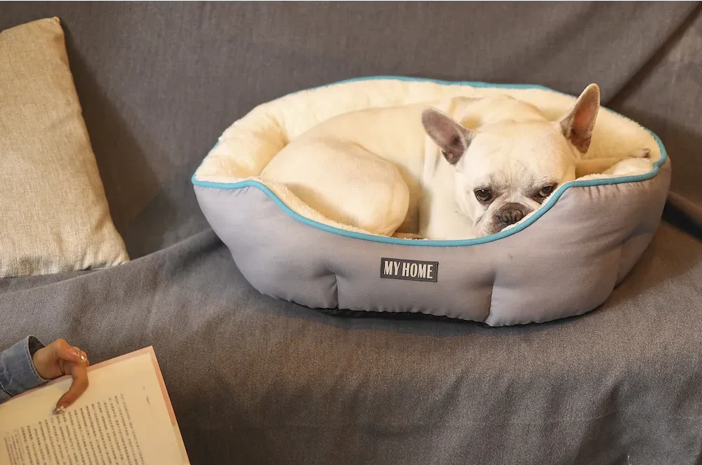 wholesale antistatic dog bed
