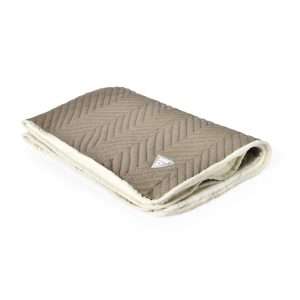 wholesale double sided cat blanket
