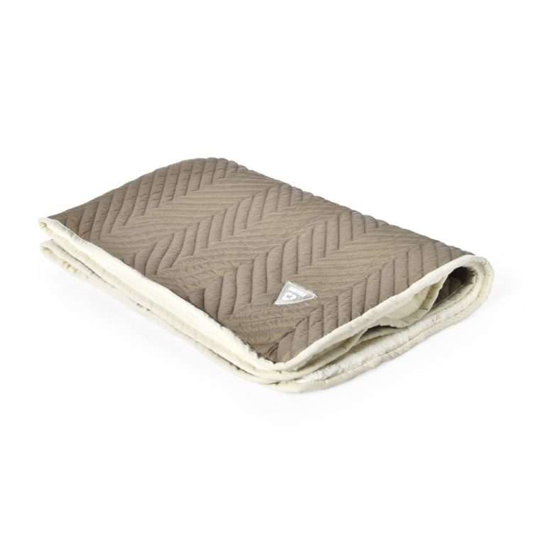 wholesale double sided cat blanket