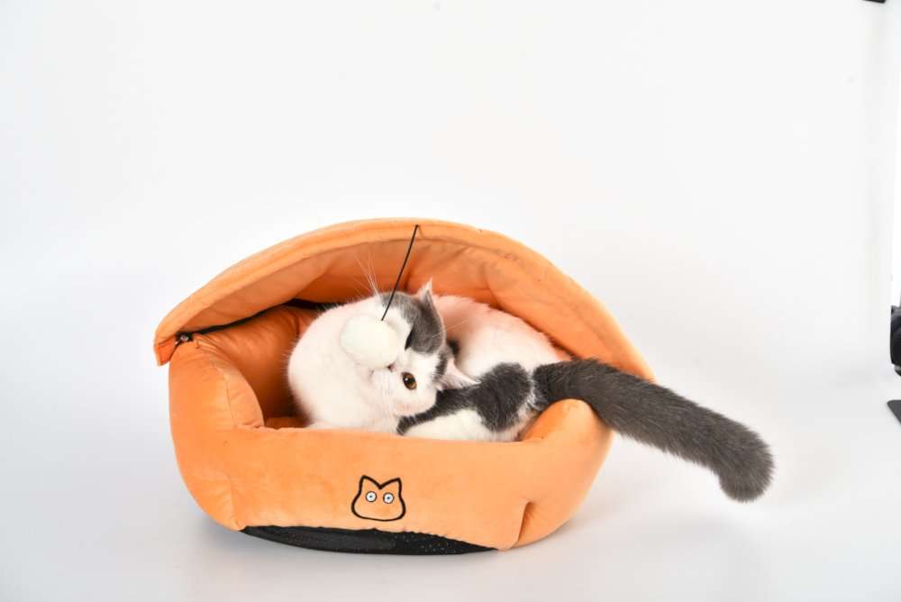 wholesale orange pet bed