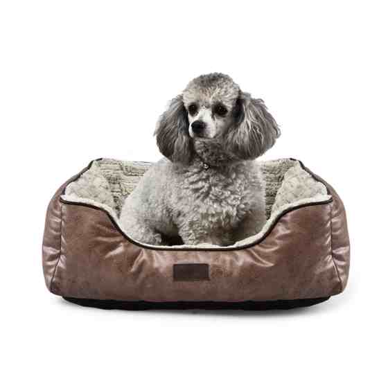 Beste Beste Luxus-Hundebetten