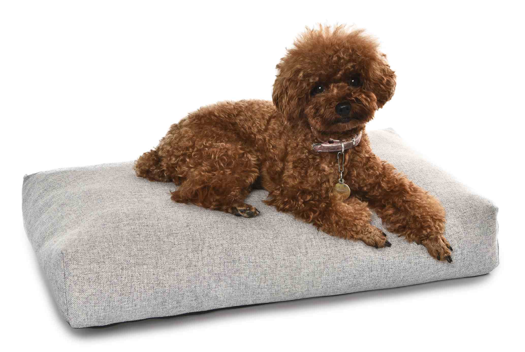 Best Pet Dog Bed Cushion