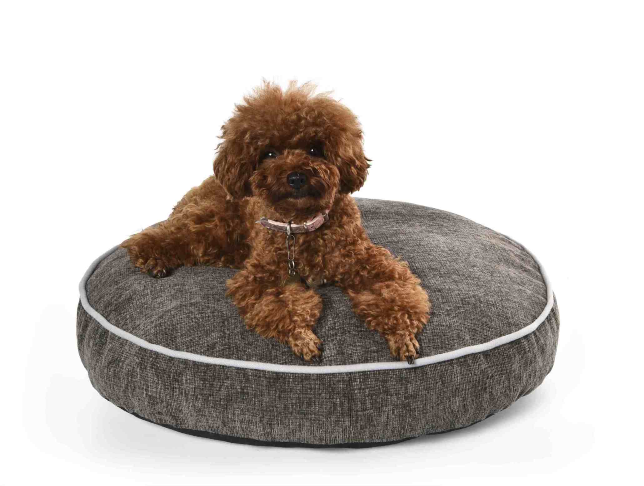Meilleur lit rond pour chien