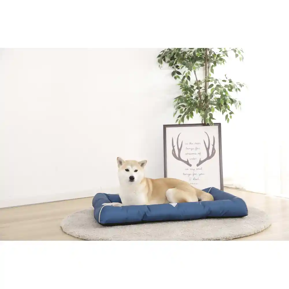 Bolster Bed For Dogs for sale