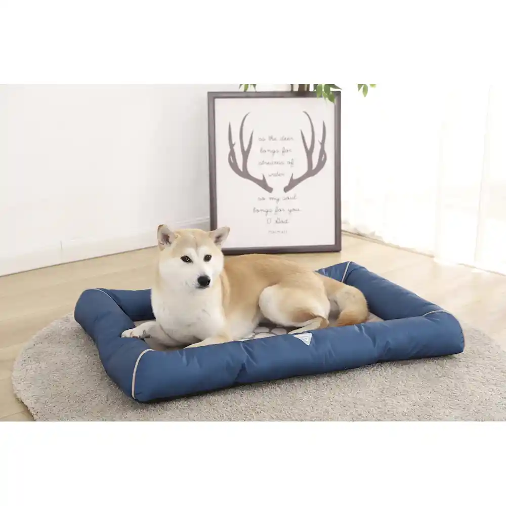 Bolster Bed For Dogs in bulk