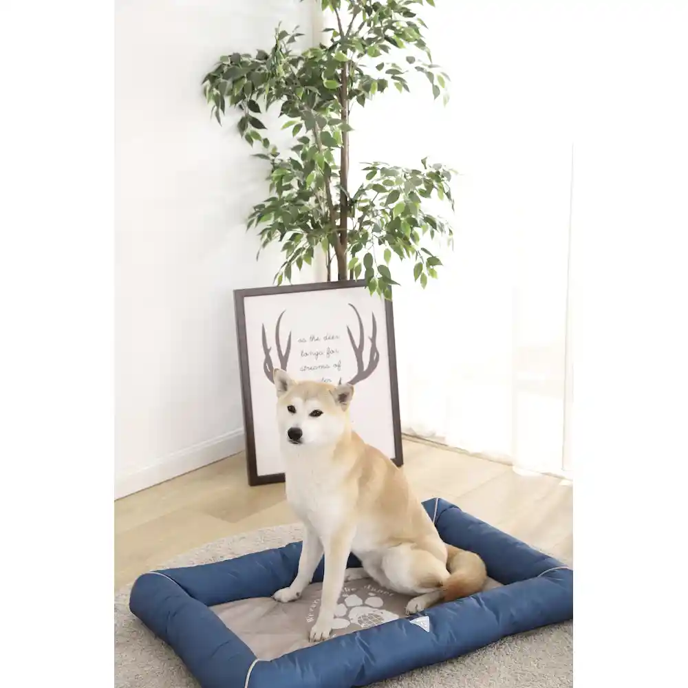 Bolster Bed For Dogs manufacturer