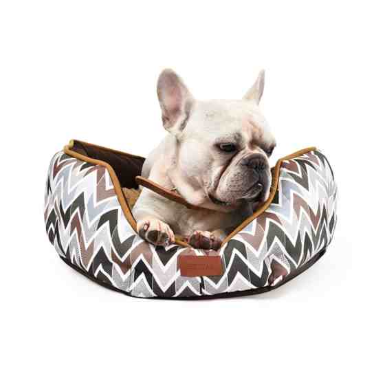 Canvas pet Dog Bed