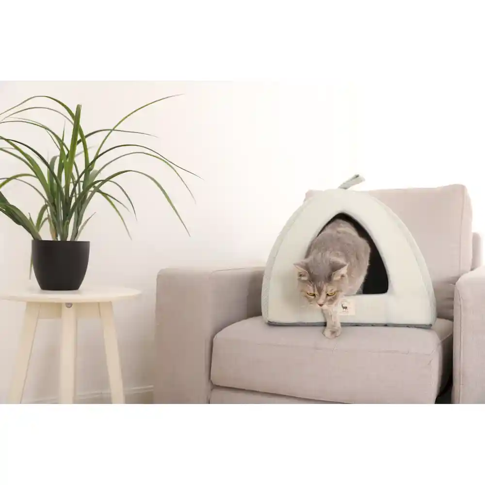 Cheap Cat Beds In Bulk