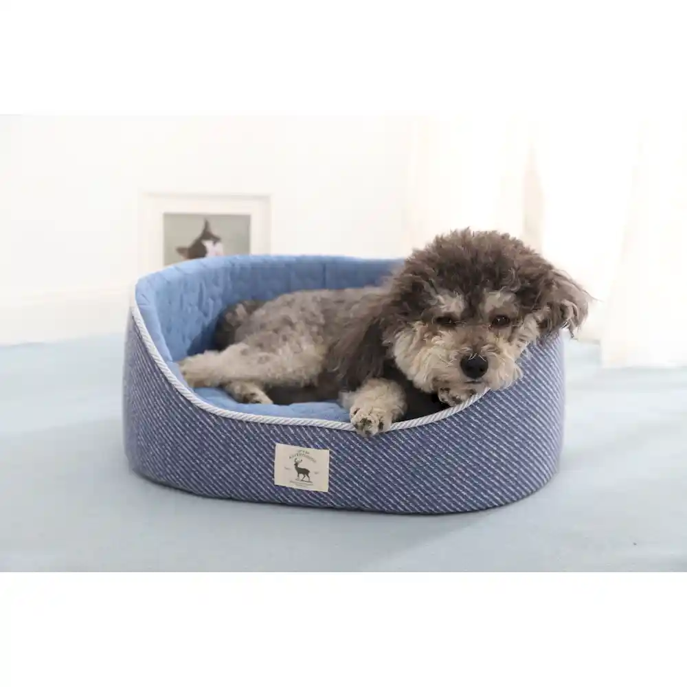 Cooling Dog Beds OEM