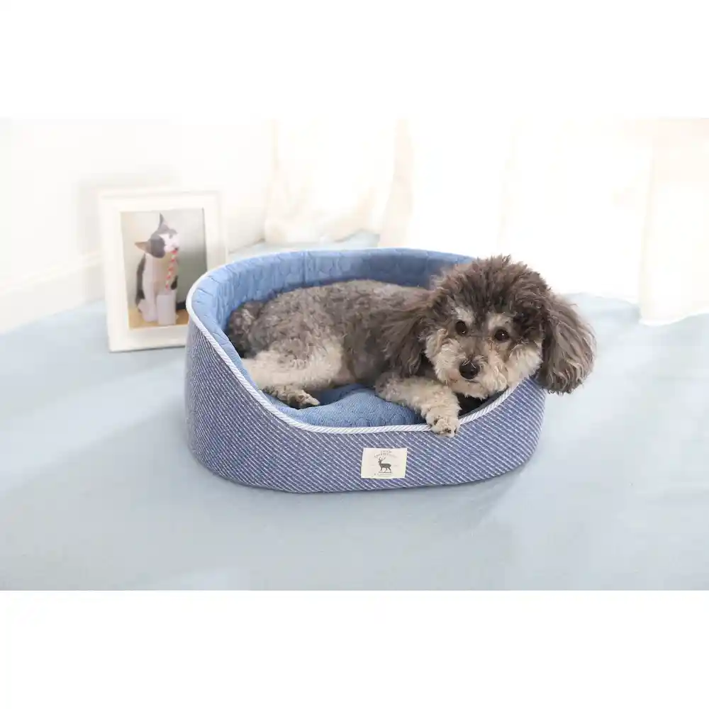 Cooling Dog Beds in bulk