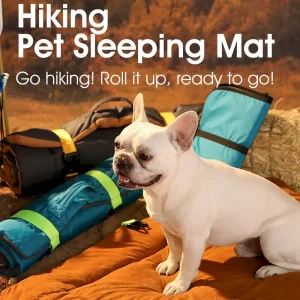 Cooling Outdoor Dog Bed