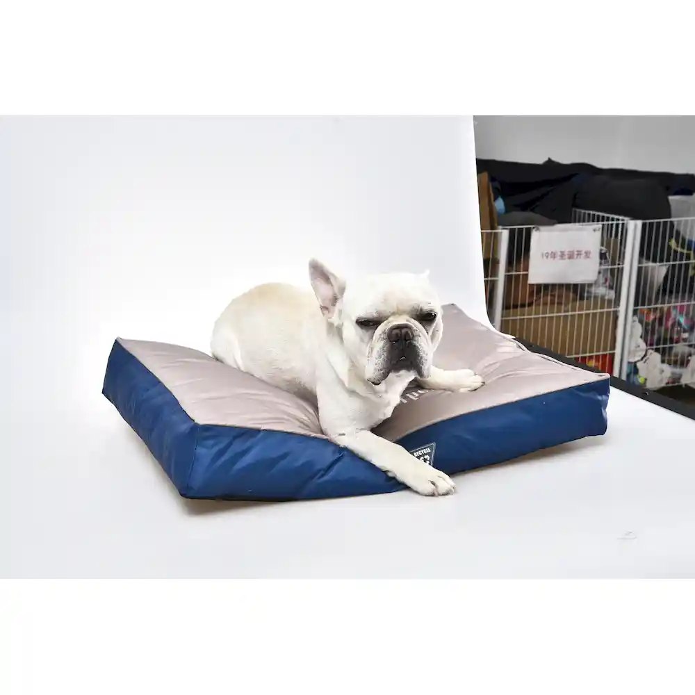 Cushion Pet Bed Manufacturer