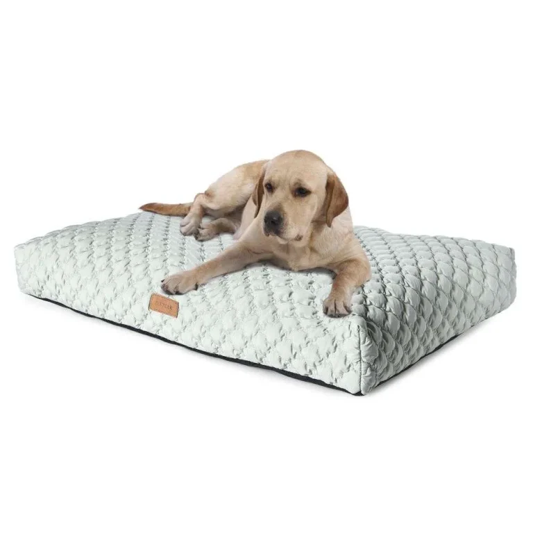 Dog Beds for Large Dogs