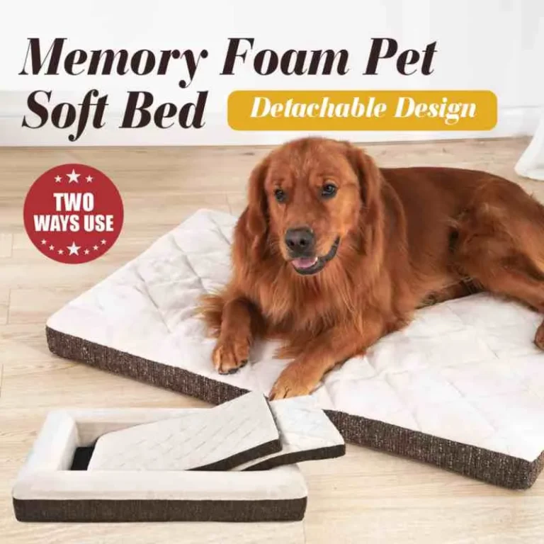 Dog Beds for Large Dogs