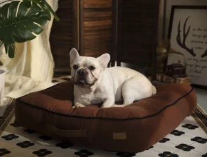 Dog Beds for Large Dogs
