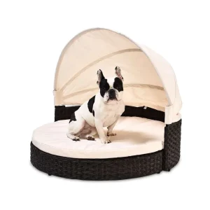 Dog Beds for Outdoor Use