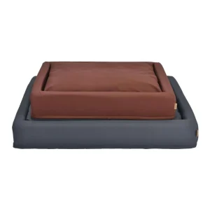 Dog Beds for Outdoor Use