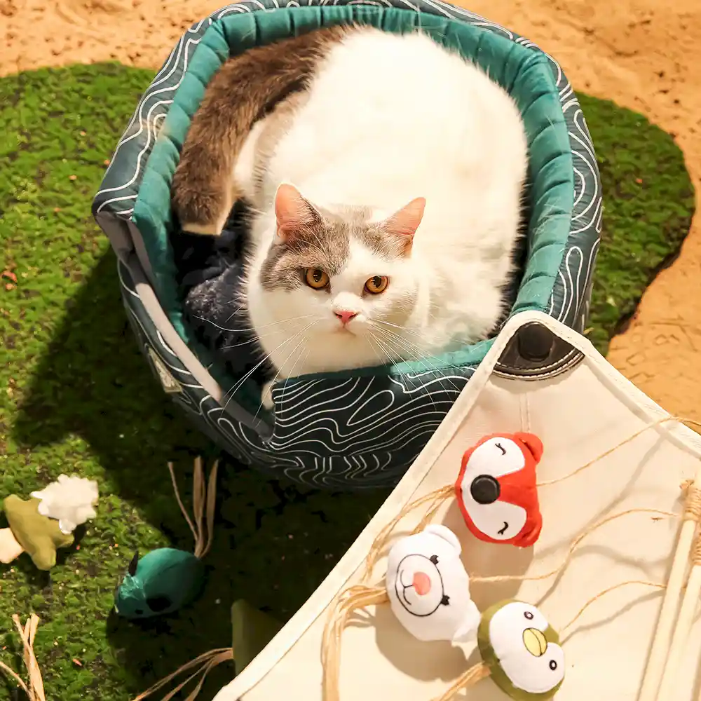 Eco Pet Bed