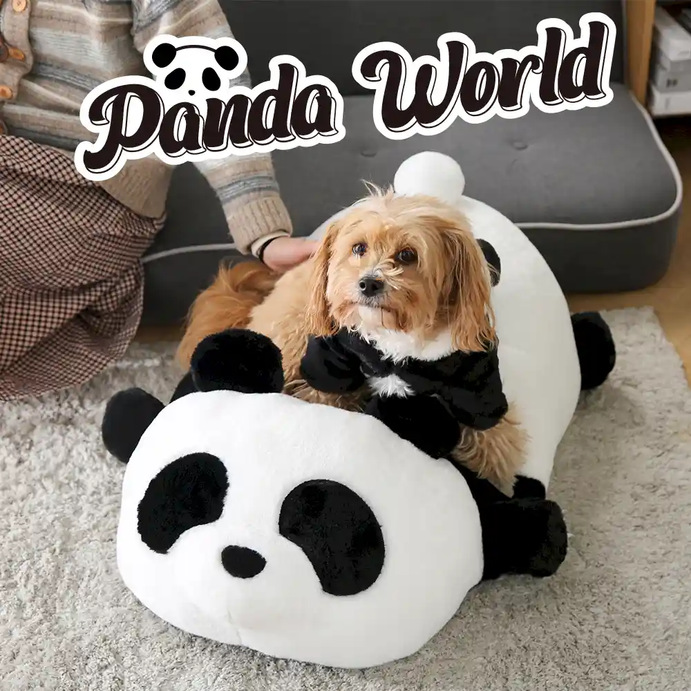 Elevated Pet Bed Manufacturer