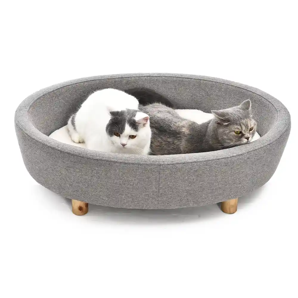 Elevated Pet Beds