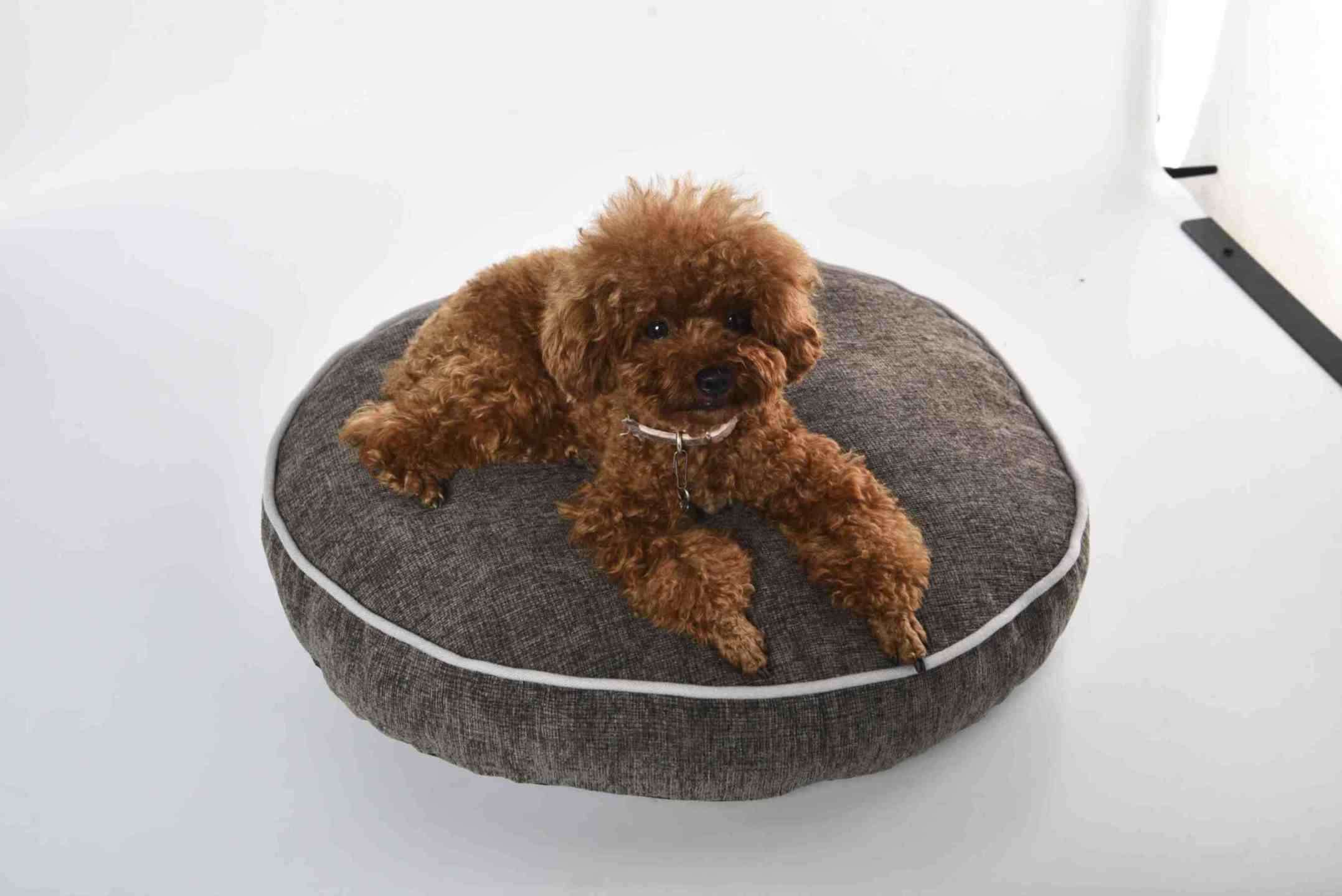 Fabrique de lit rond pour chien