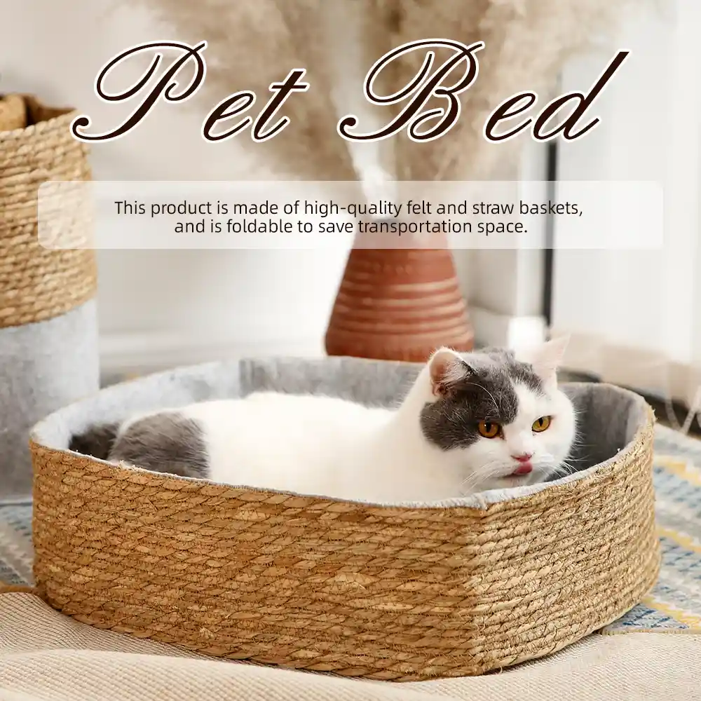 Foldable Cat Bed Wholesaler