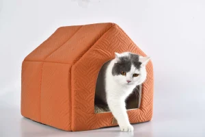 Heated Pet Beds for Winter