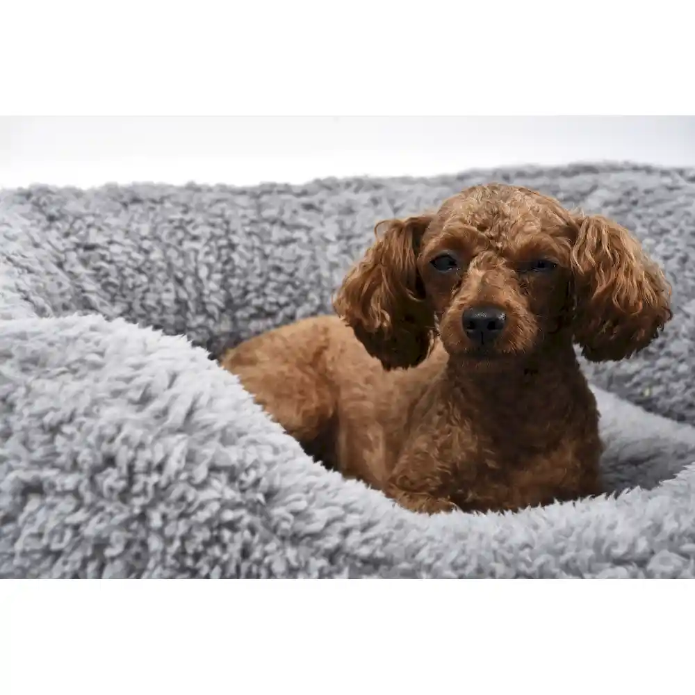 Large Soft Dog Beds Supplier