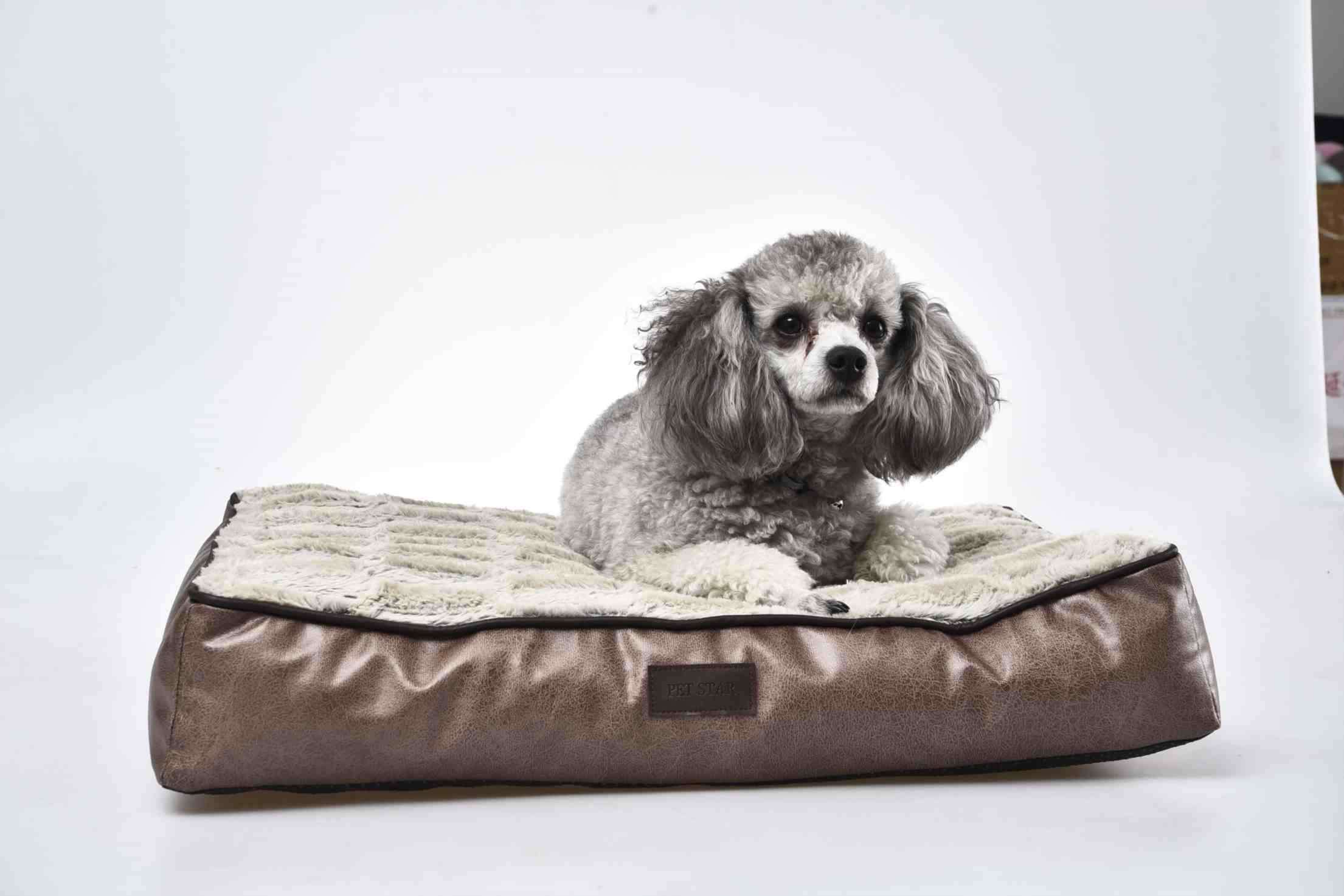Luxury Dog Cushion
