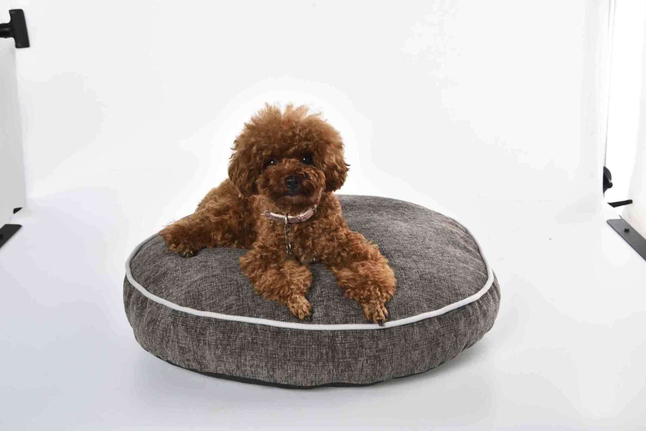 Fabricant lit rond pour chien