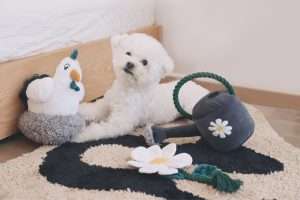 Materials for Pet Beds