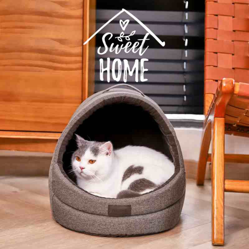 Lieferant Katzensofa Bett