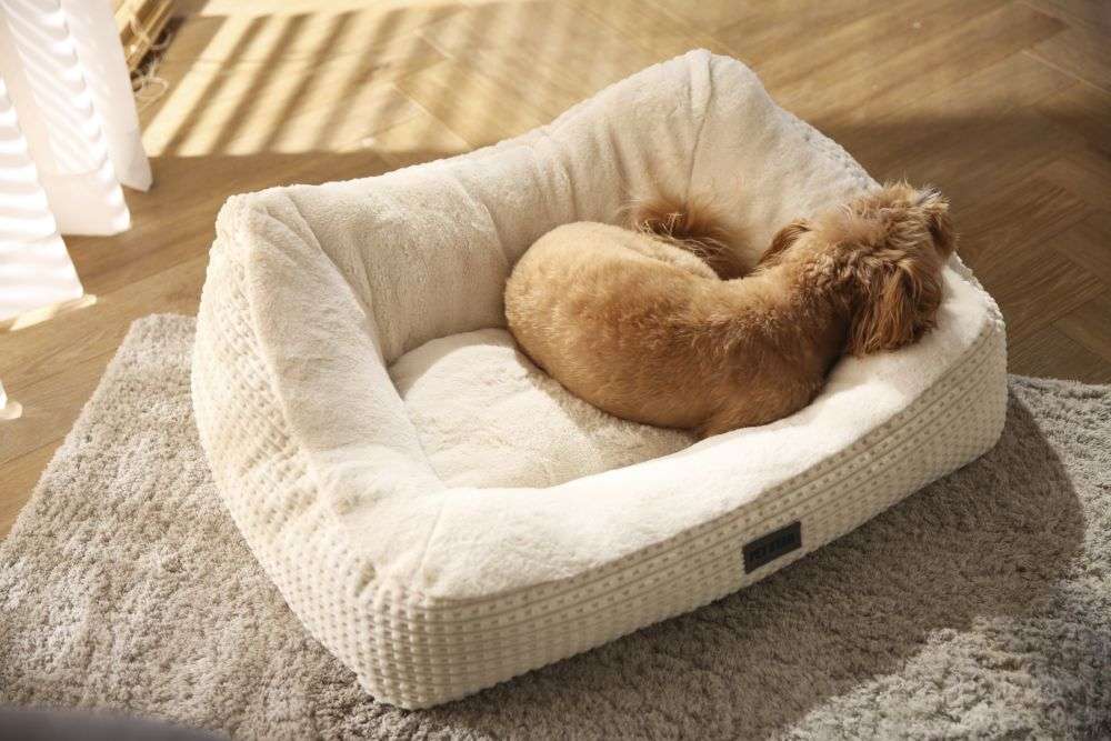 beige dog bed large