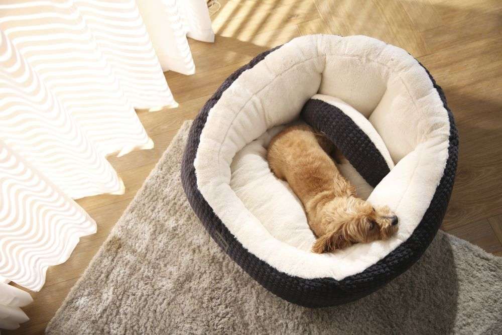 best washable dog bed