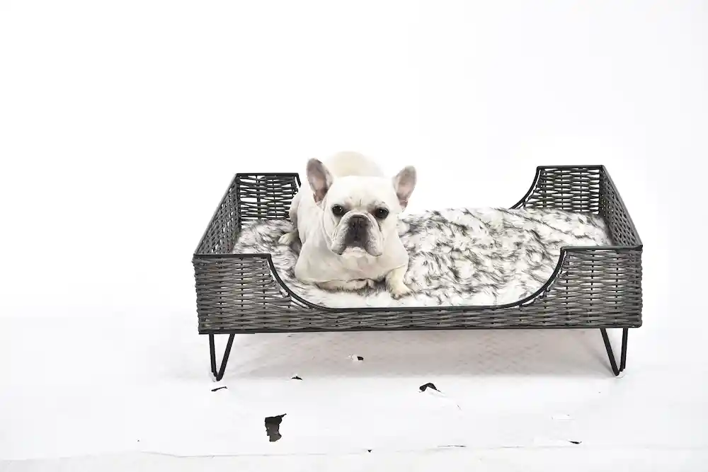 Erhöhte Hundebetten
