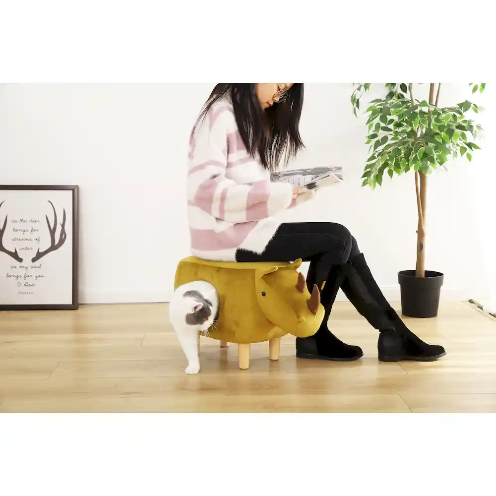 cat bed stool