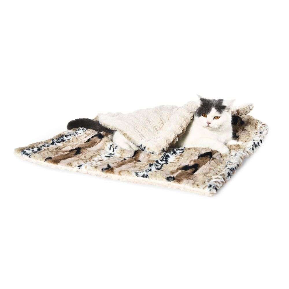 cat blanket winter