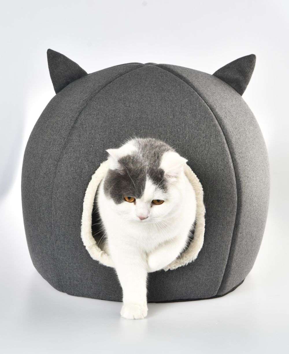 letto per animali da grotta