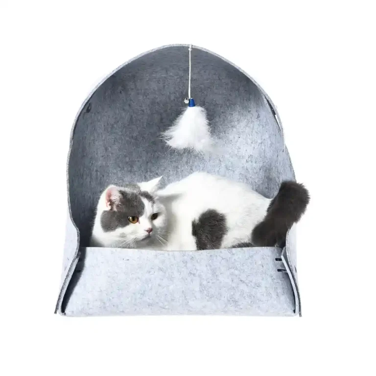 cheap cat cave bed