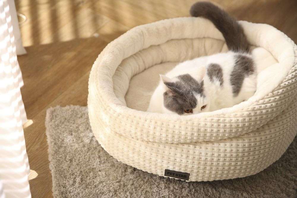 comfy donut dog beds