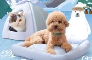 cooling cat beds