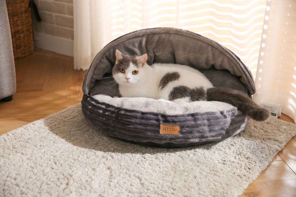corduroy dog bed