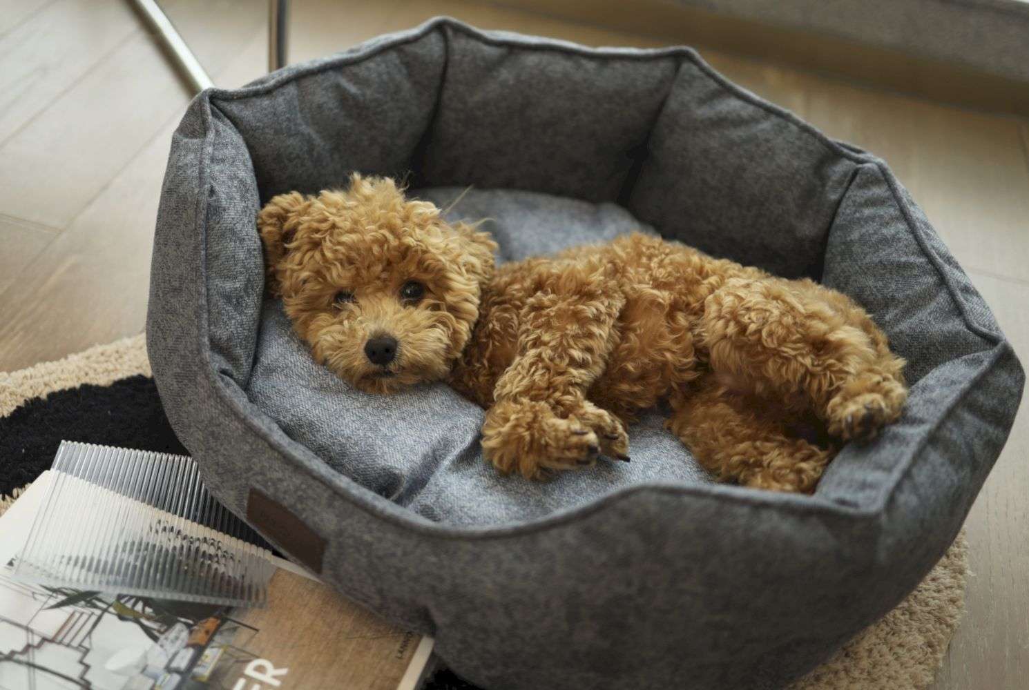 customize flame resistant dog bed