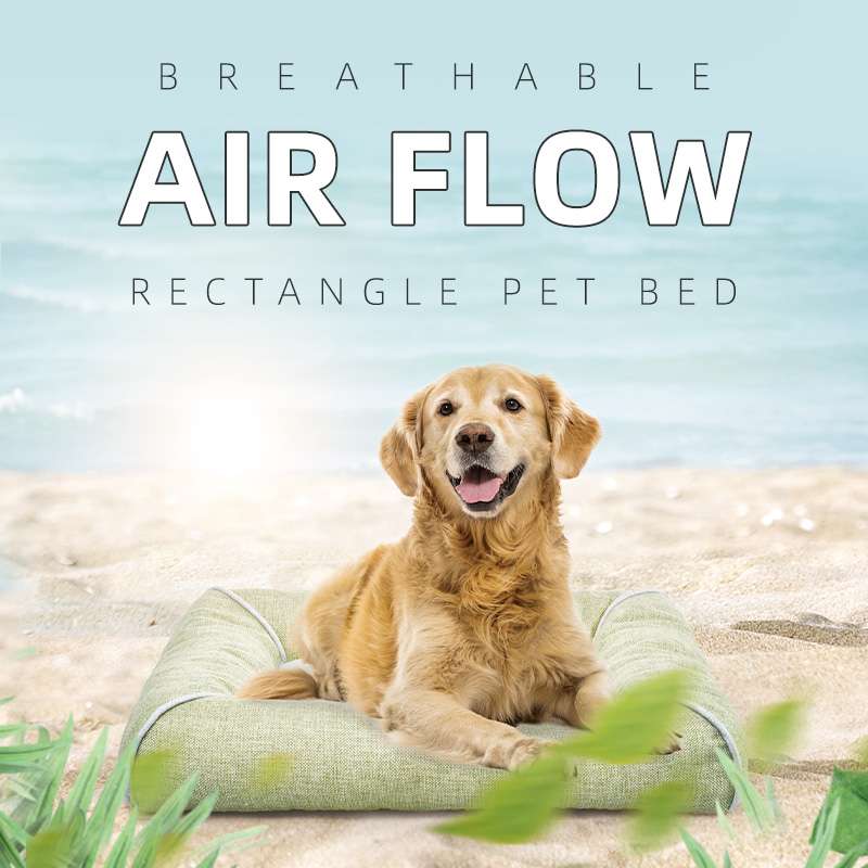 dog pet beds with removable covers