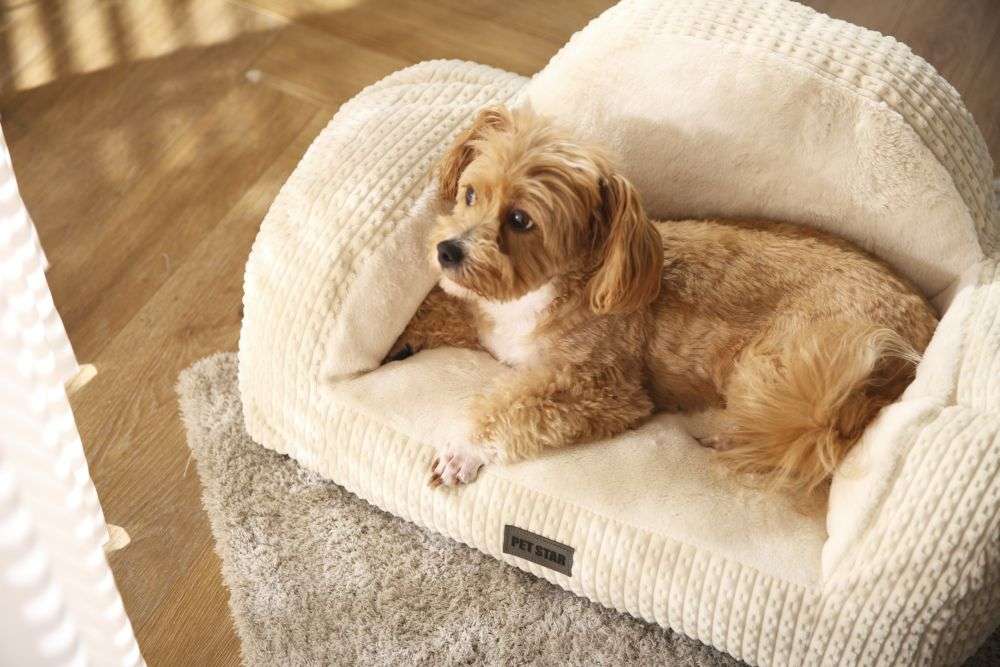 capas de sofá para cães